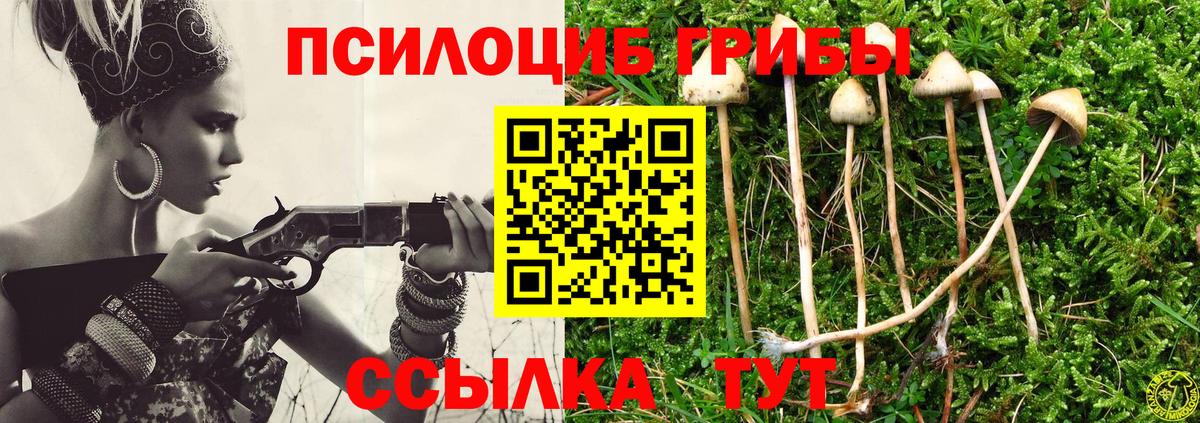 Псилоцибиновые грибы ЛСД Мирный