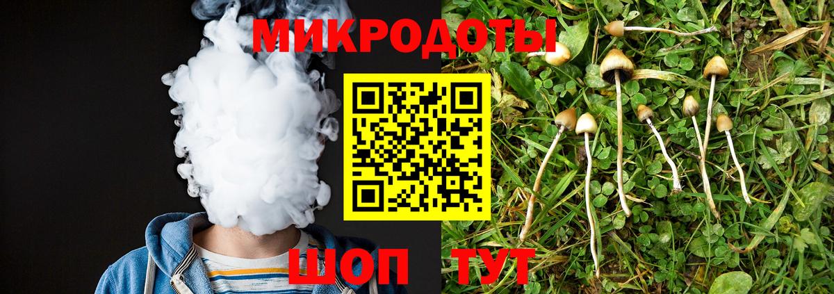 Мирный  Псилоцибиновые грибы Psilocybine cubensis  Псилоцибиновые грибы Cubensis  Вход с VPN 
