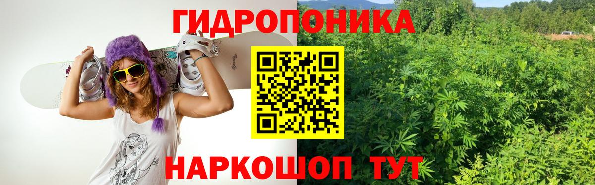 Бошки марихуана индика  Марихуана ГИДРОПОН  Канабис LSD WEED  Вход с VPN  Бошки марихуана SATIVA & INDICA  Мирный 